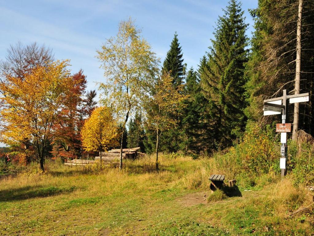 Ferienhaus Haus am Medebach Olsberg Exterior foto